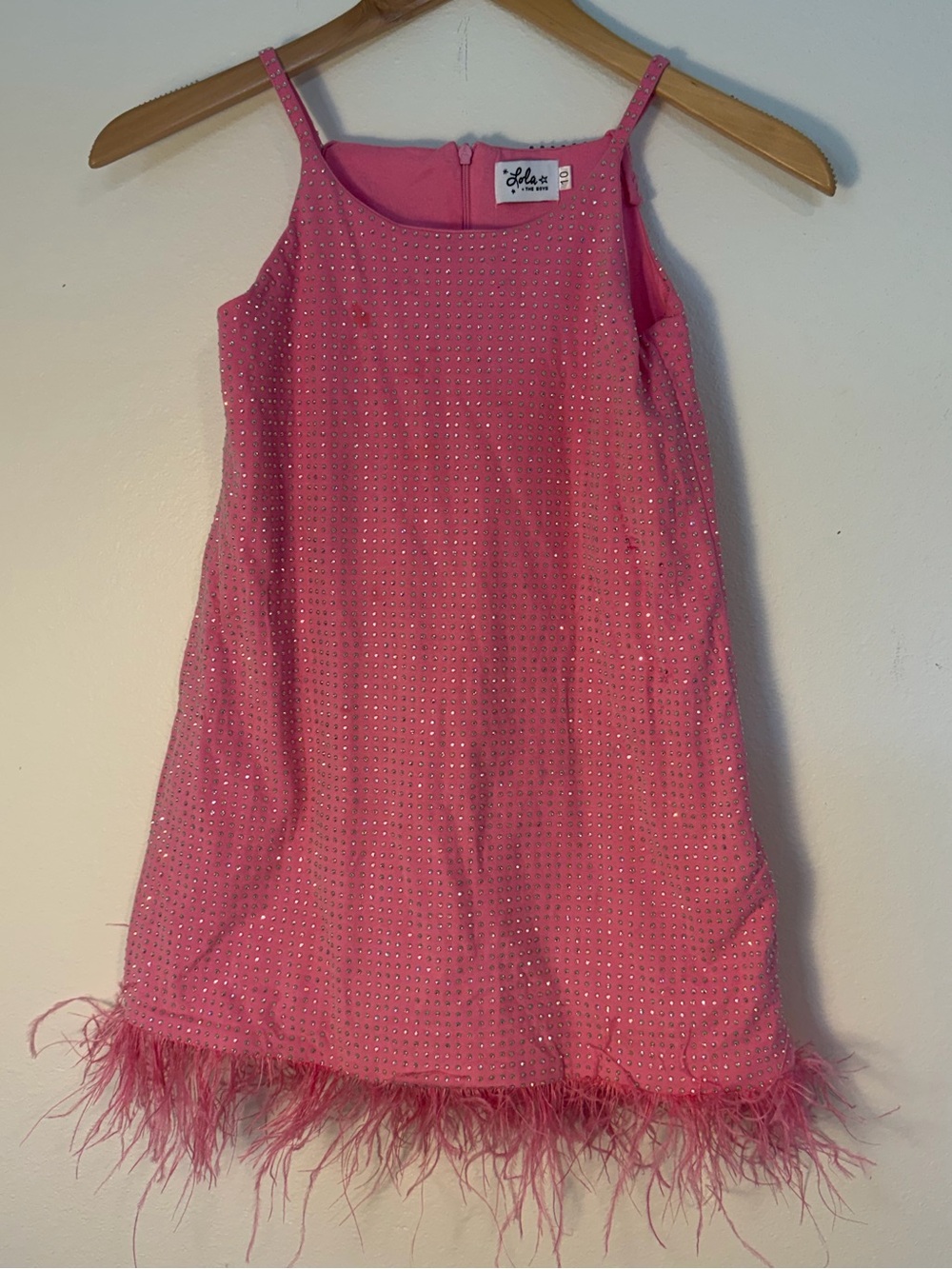 Lola + The Boys Taylor Crystal Feather-Trim Dress